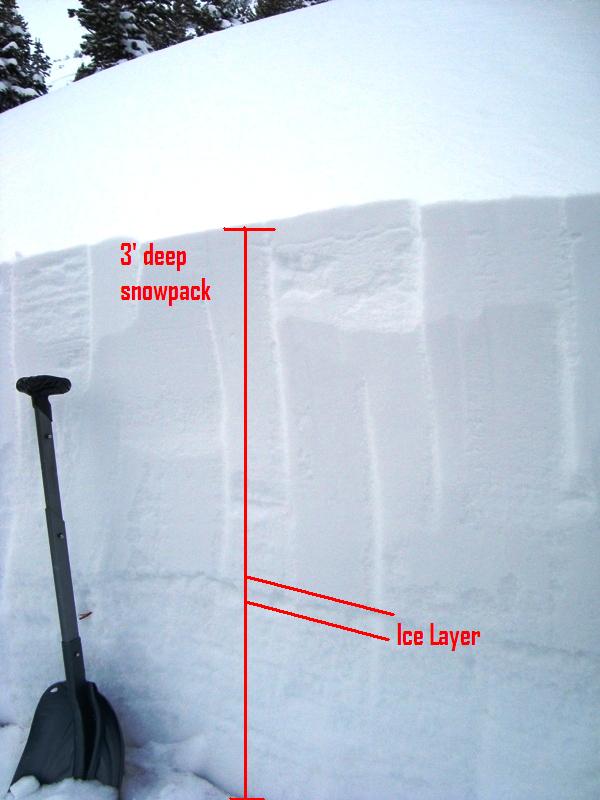 Scotch Bonnet Snow Pit Scotch Bonnet Snow Pit