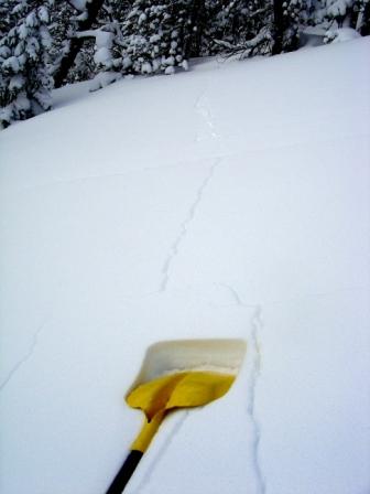 Shooting Cracks at Bacon Rind