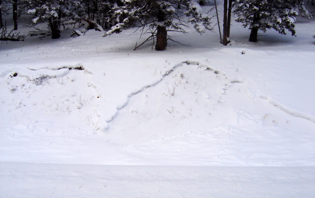 Road Side Avalanche
