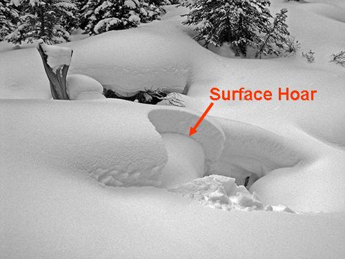 Active Surface Hoar Layer Active Surface Hoar Layer