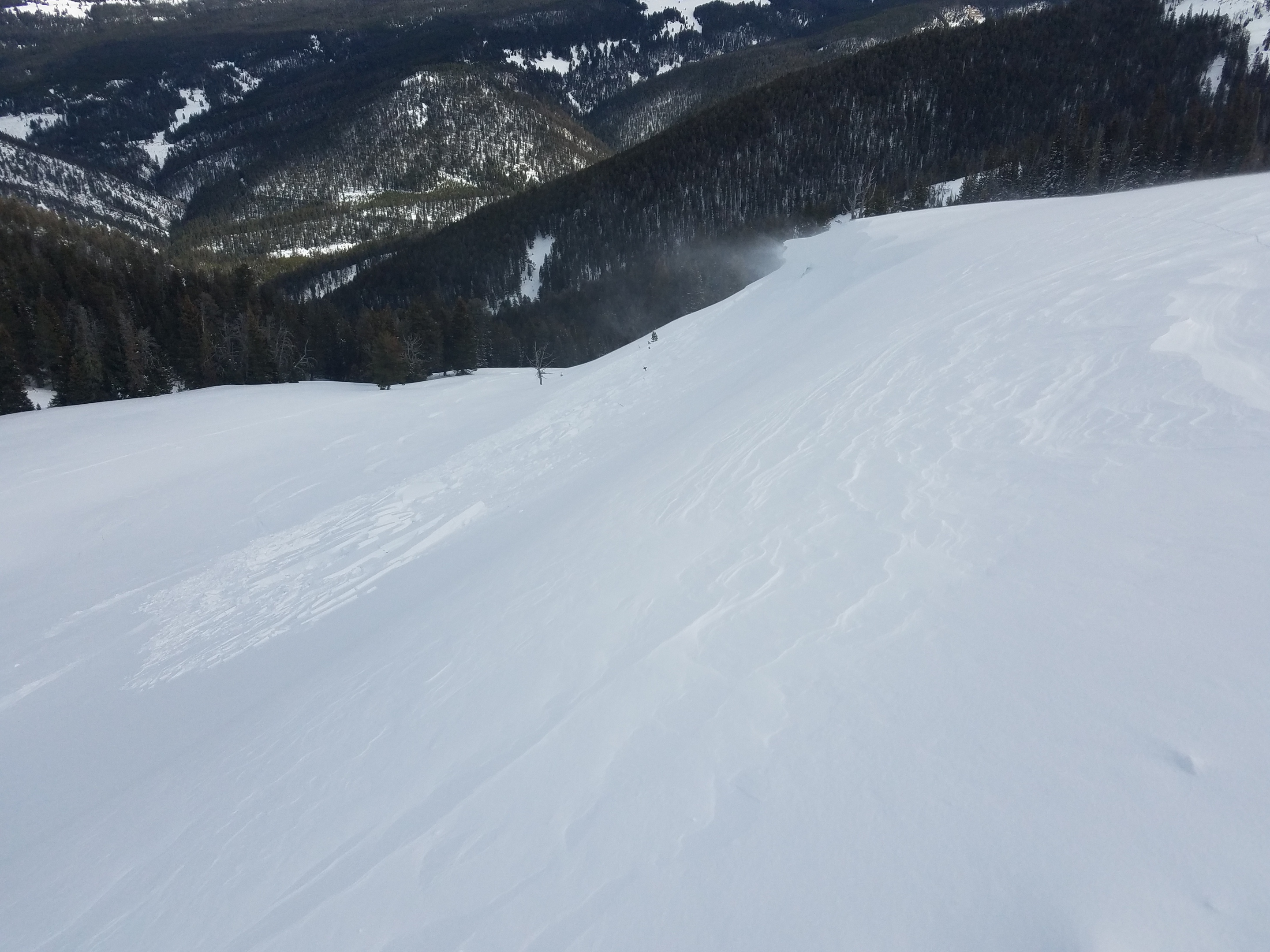 Lick Creek Avalanche Lick Creek Avalanche