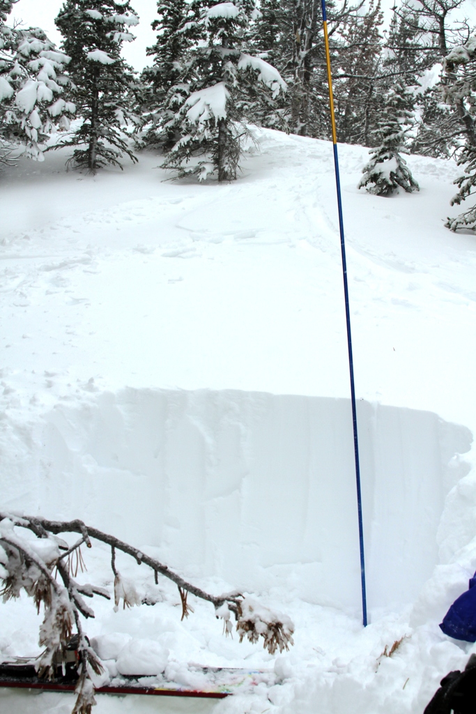 75cm of dense snow