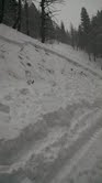 Road Cut Avalanche Road Cut Avalanche