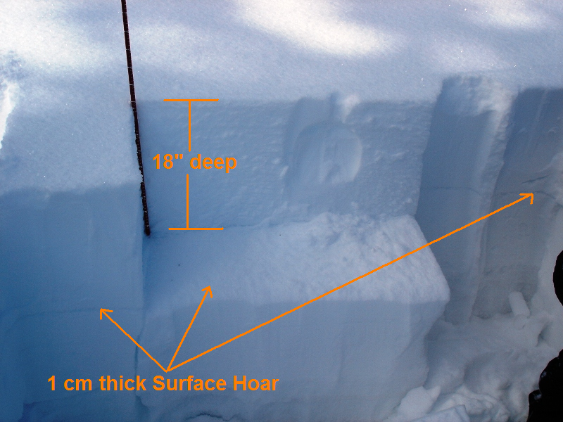 Bacon Rind Surface Hoar Bacon Rind Surface Hoar