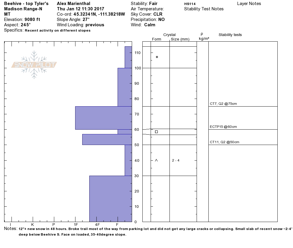 Beehive Basin Profile - 12 Jan 2017