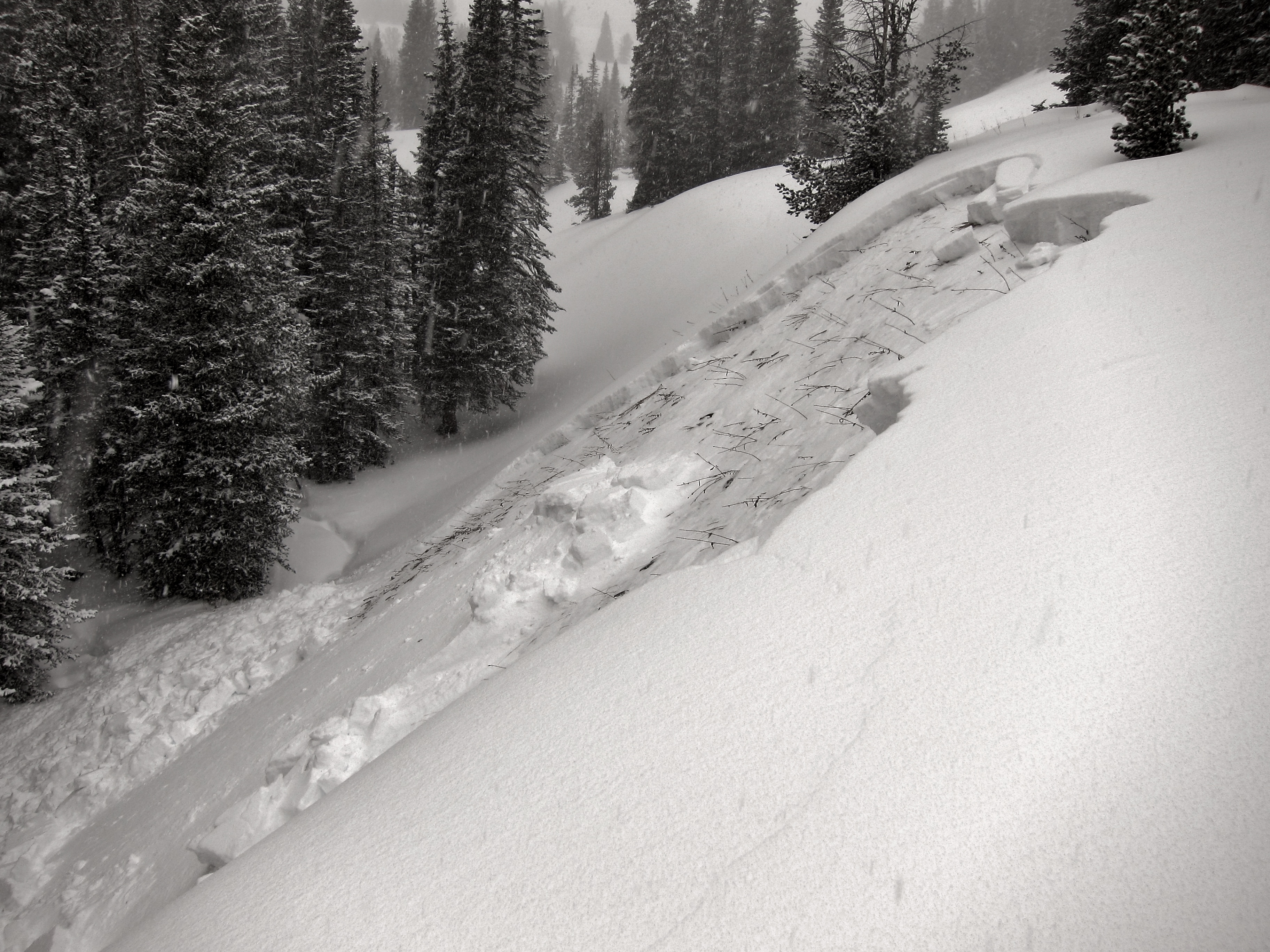 Remotely triggered avalanche Beehive Basin Remotely triggered avalanche Beehive Basin