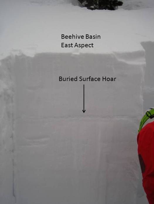 Buried Surface Hoar - Beehive Basin Buried Surface Hoar - Beehive Basin