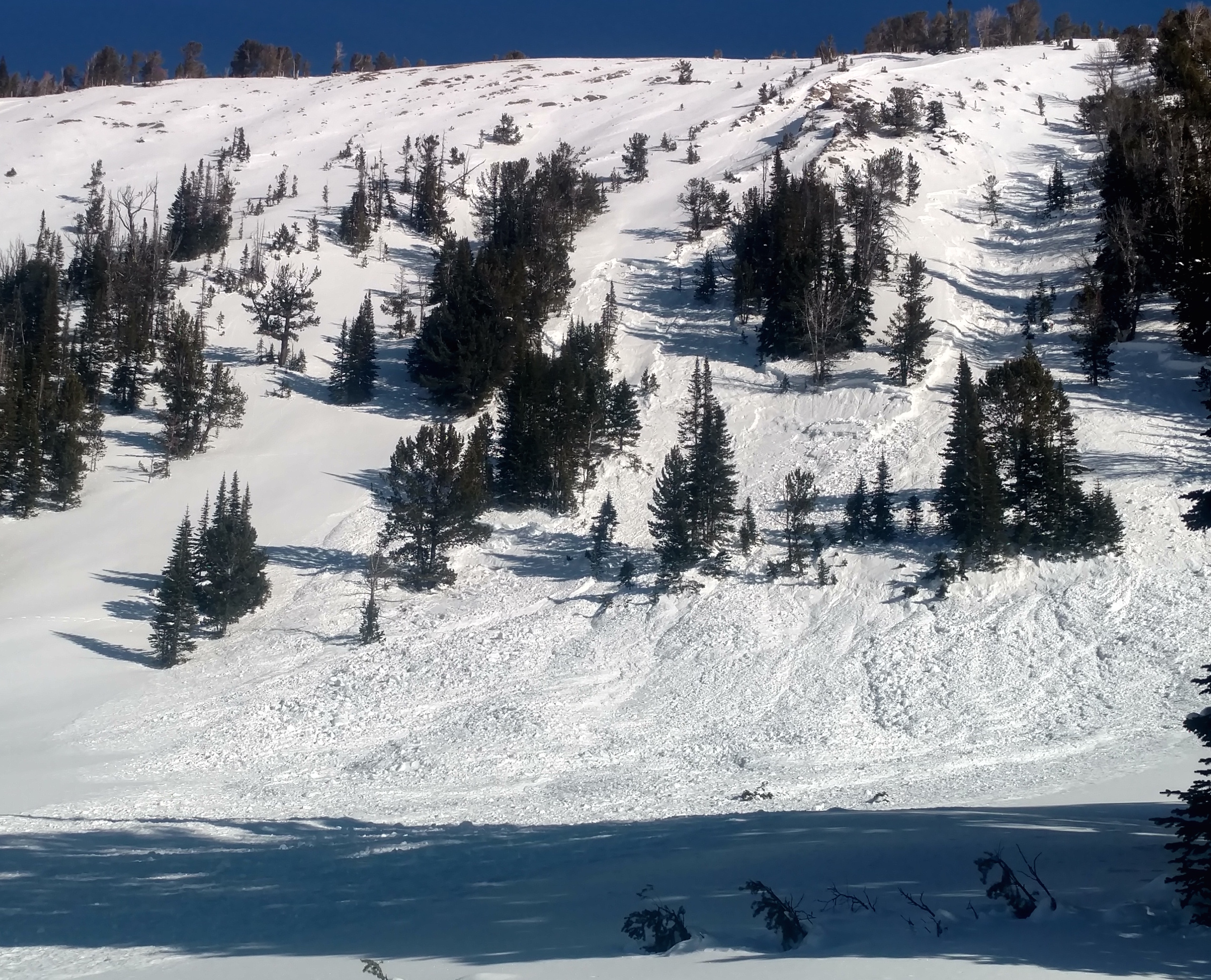 Avalanche in Beehive 4 - Jan 15 Avalanche in Beehive 4 - Jan 15