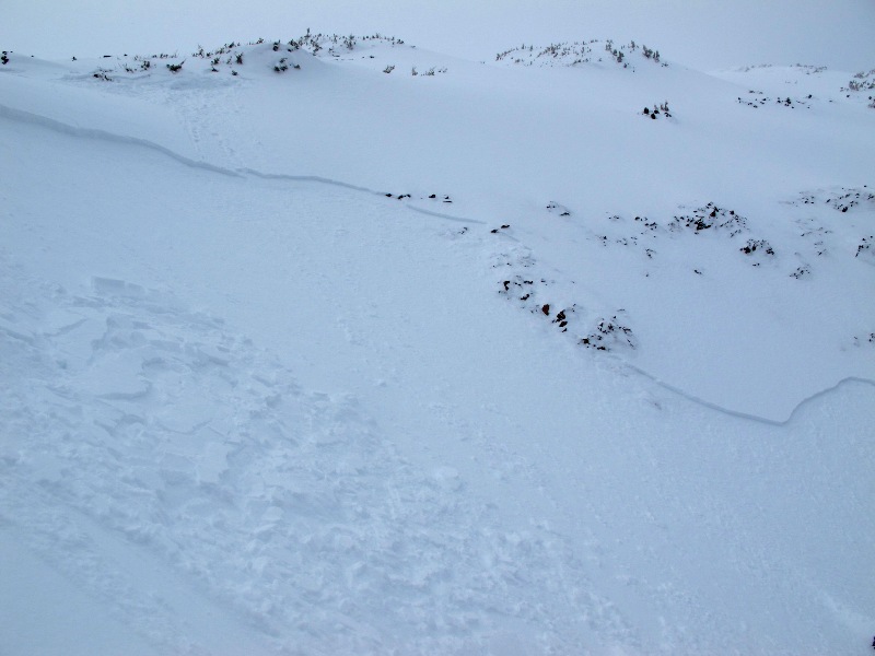 Human Triggered Avalanche Mt Blackmore 2-12-10 Human Triggered Avalanche Mt Blackmore 2-12-10