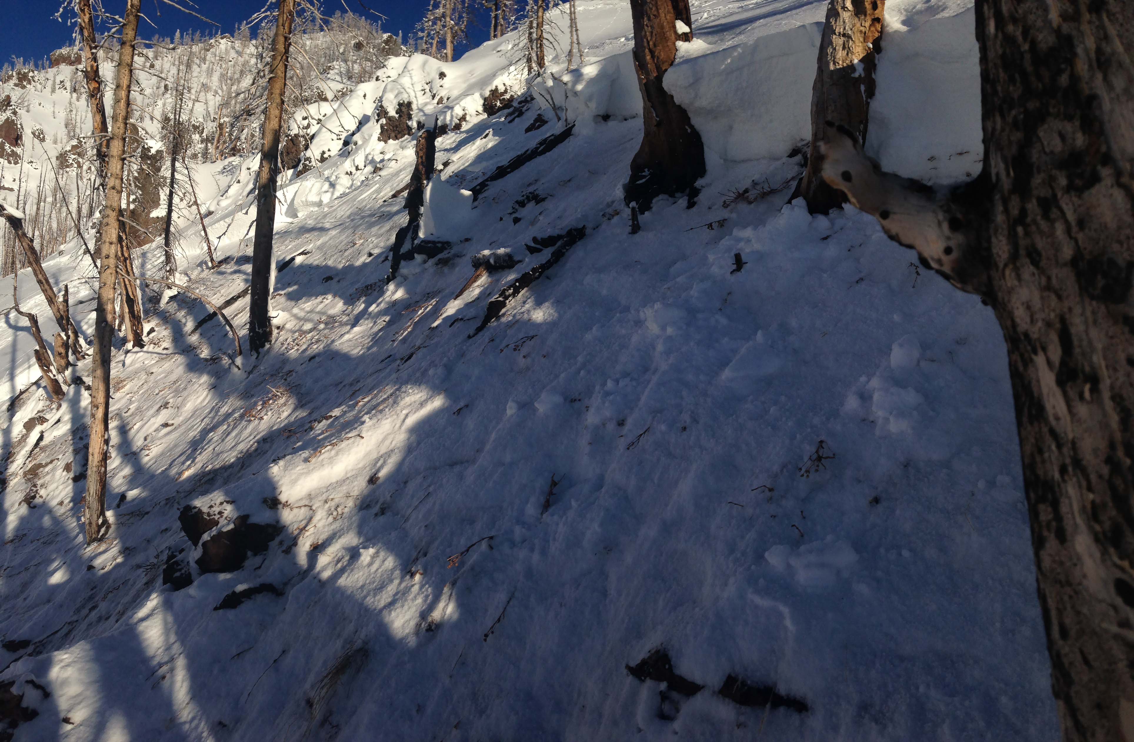 Human Triggered in N. Gallatin - photo 2