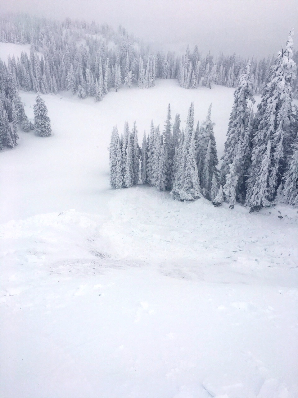 Cabin Creek Avalanche_2