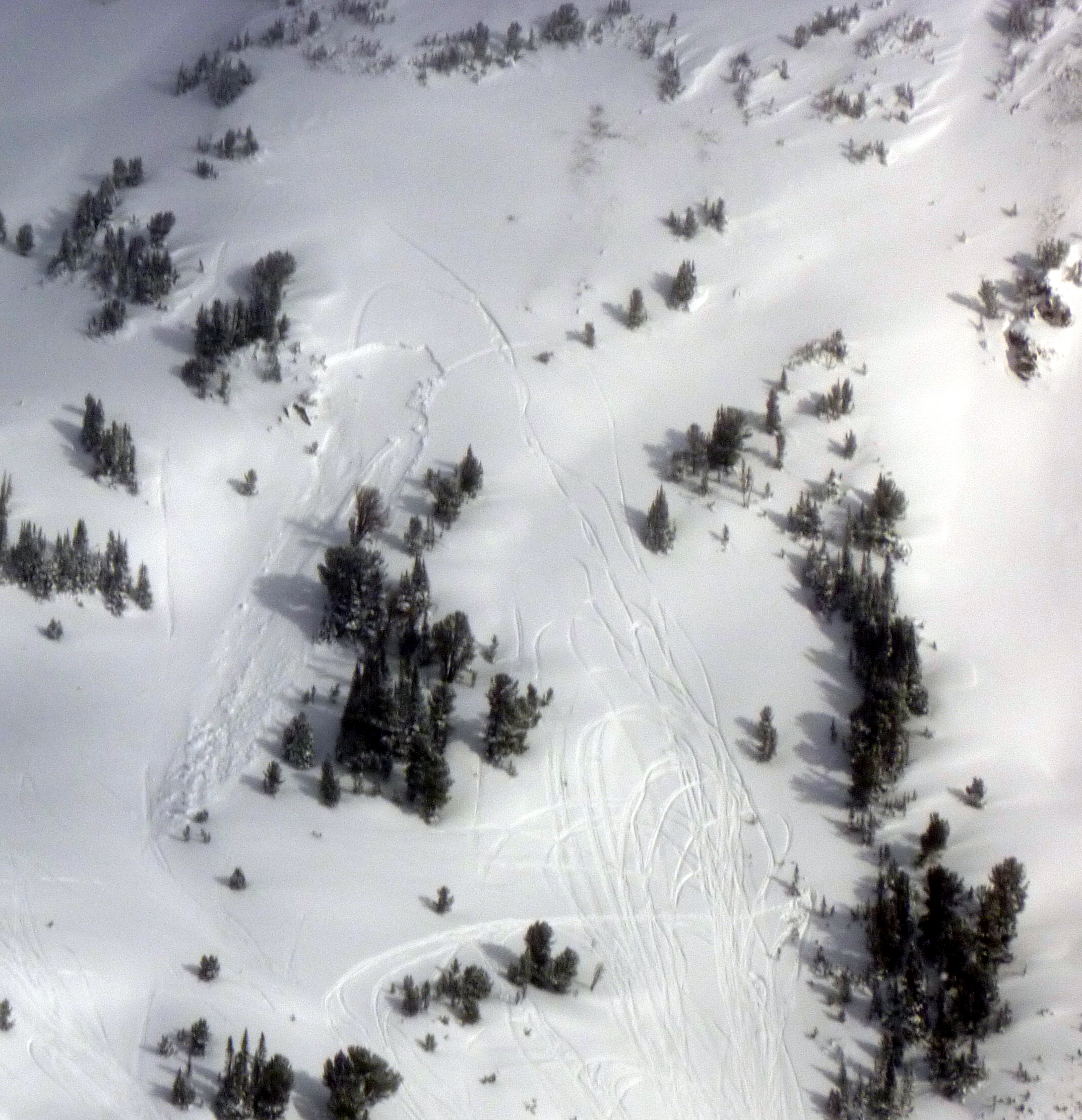 Avalanche - Cooke City Avalanche - Cooke City