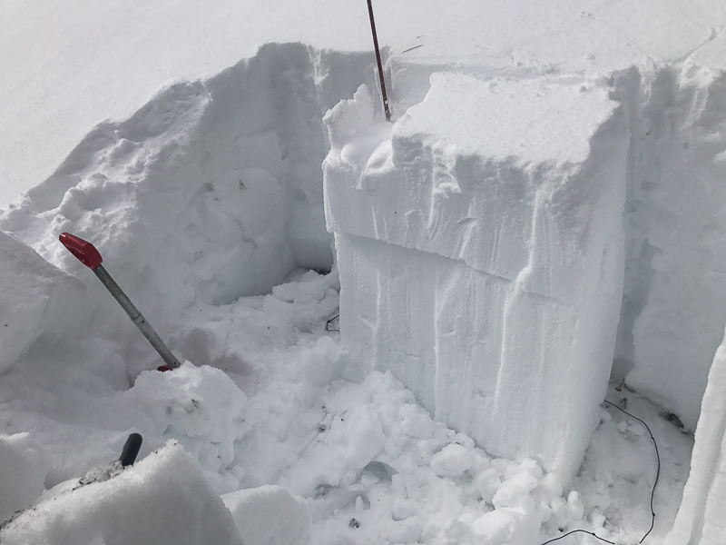 Buried Surface Hoar, Deer Creek - 2/8/17 Buried Surface Hoar, Deer Creek - 2/8/17