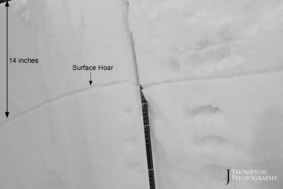 Mt Ellis Surface Hoar Mt Ellis Surface Hoar