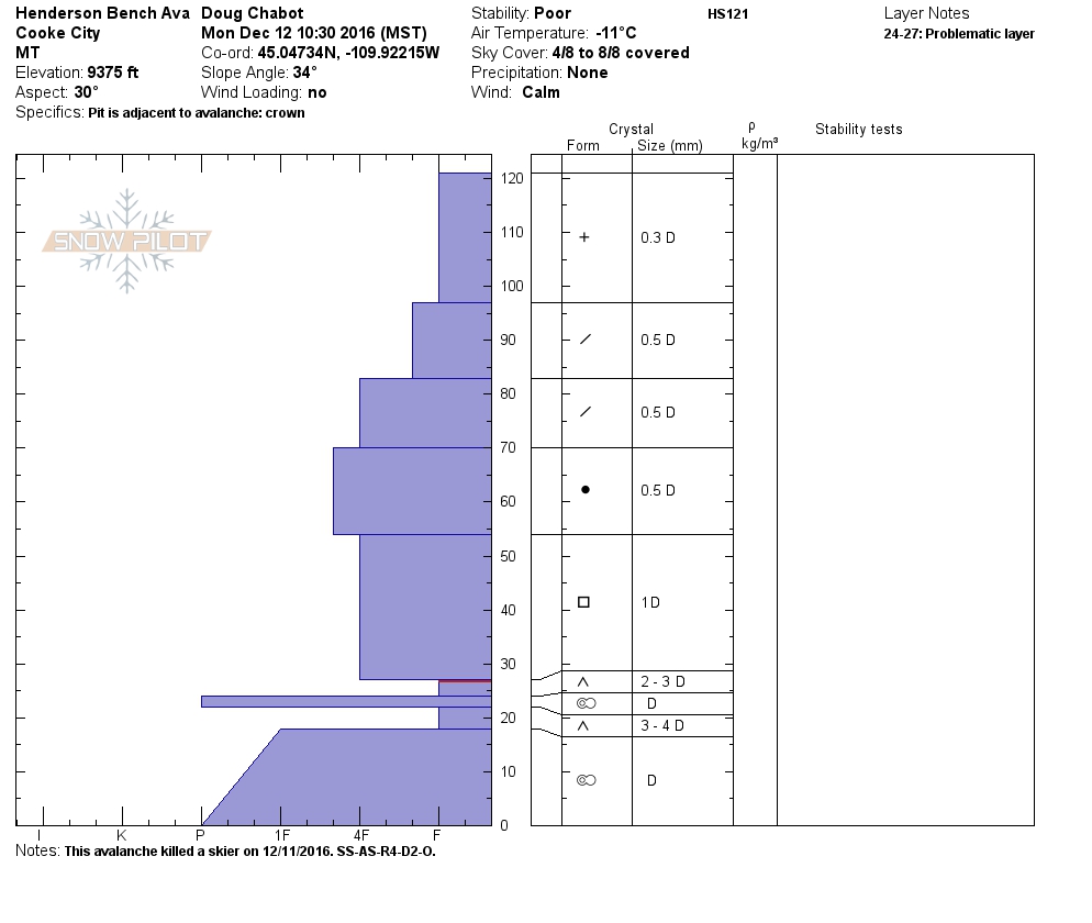 Henderson Bench Snowpit Profile