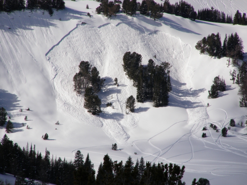 Human Triggered Avalanche - Cedar Mountain Human Triggered Avalanche - Cedar Mountain
