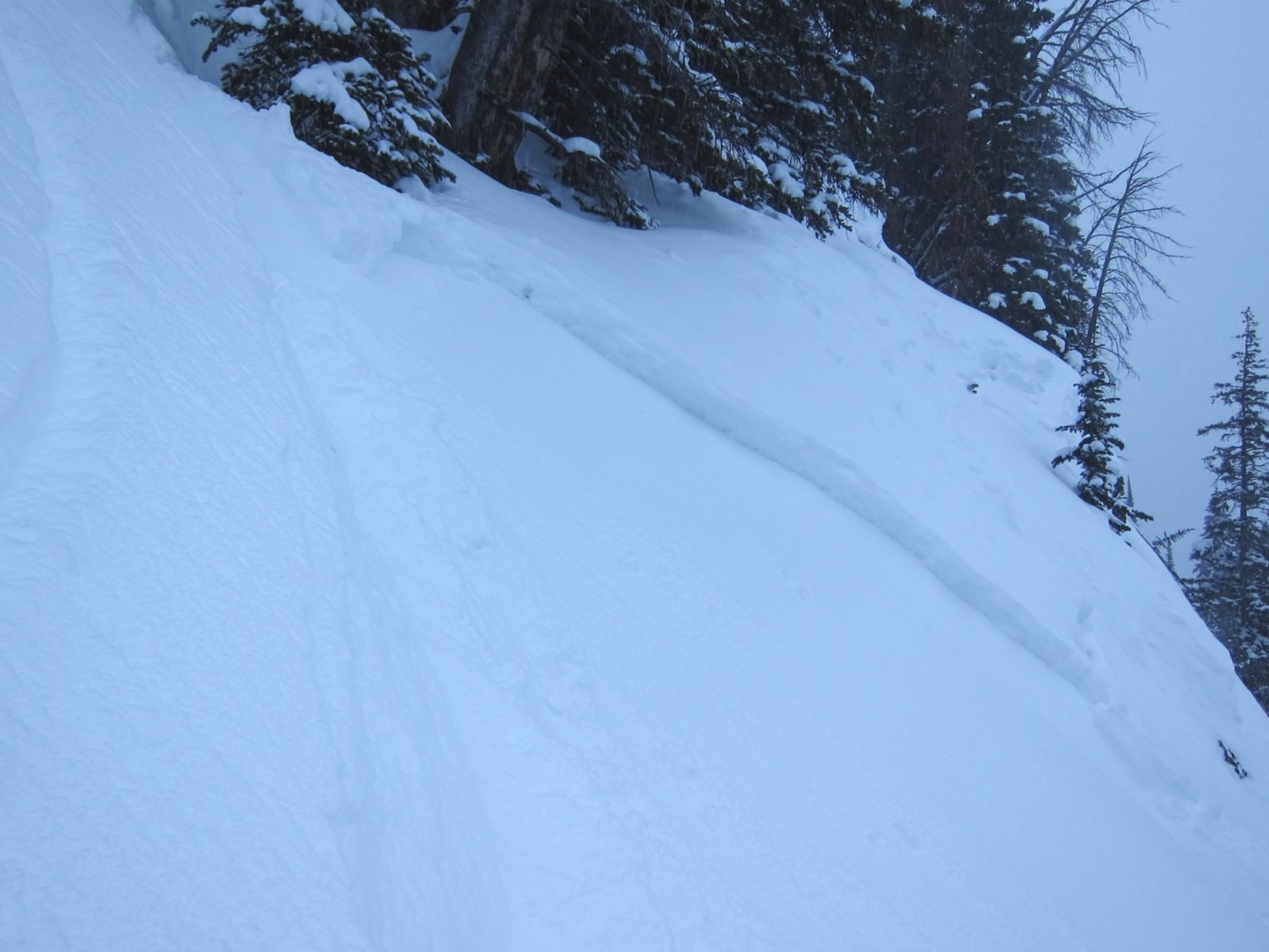 Small Avalanche in Hyalite Small Avalanche in Hyalite
