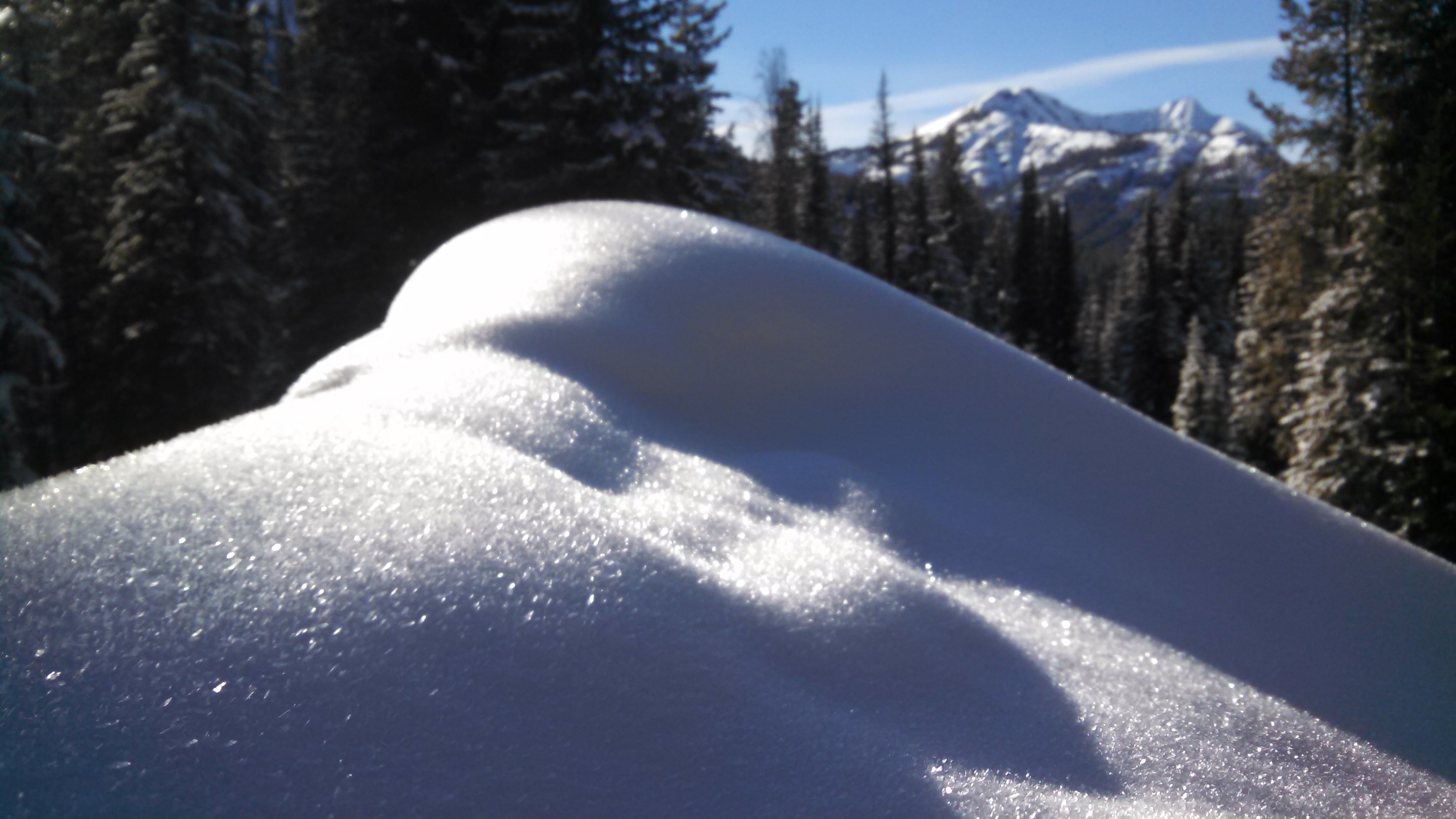 Fresh Surface Hoar - Cooke City 1/30/15 Fresh Surface Hoar - Cooke City 1/30/15