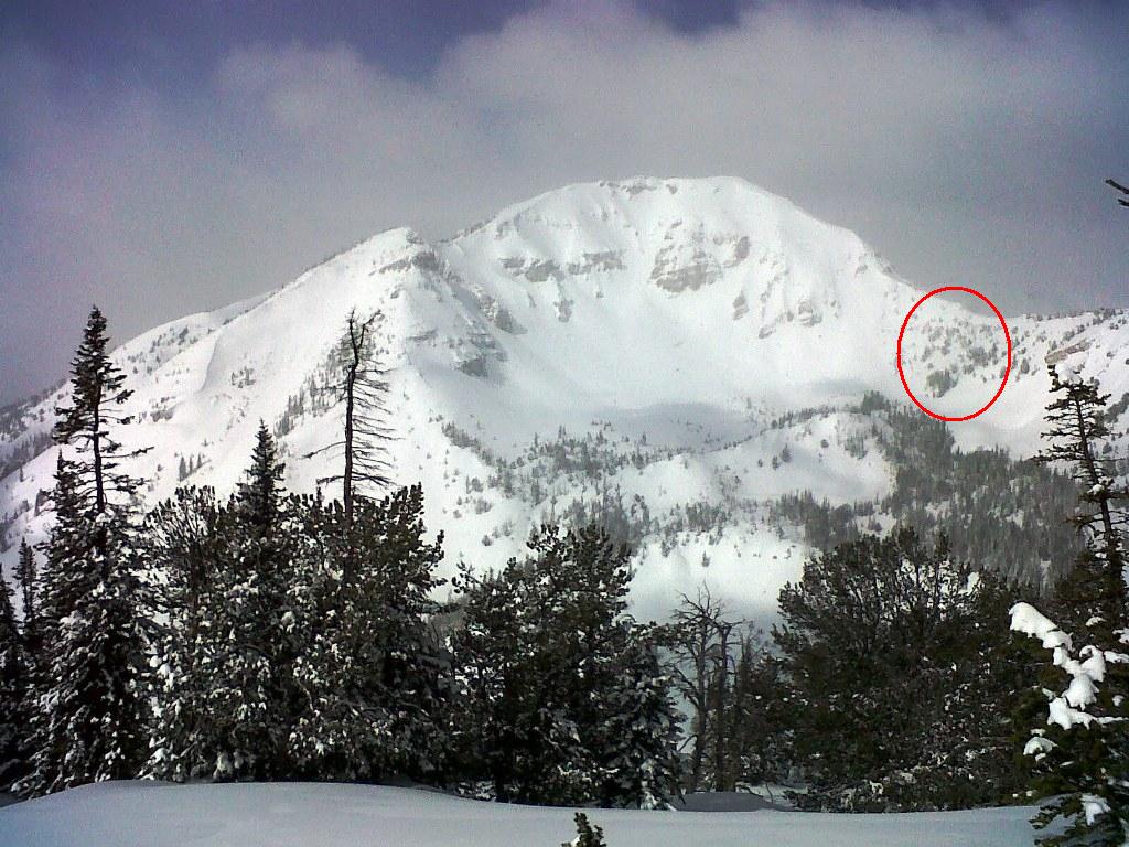 Lionhead Avalanche Lionhead Avalanche