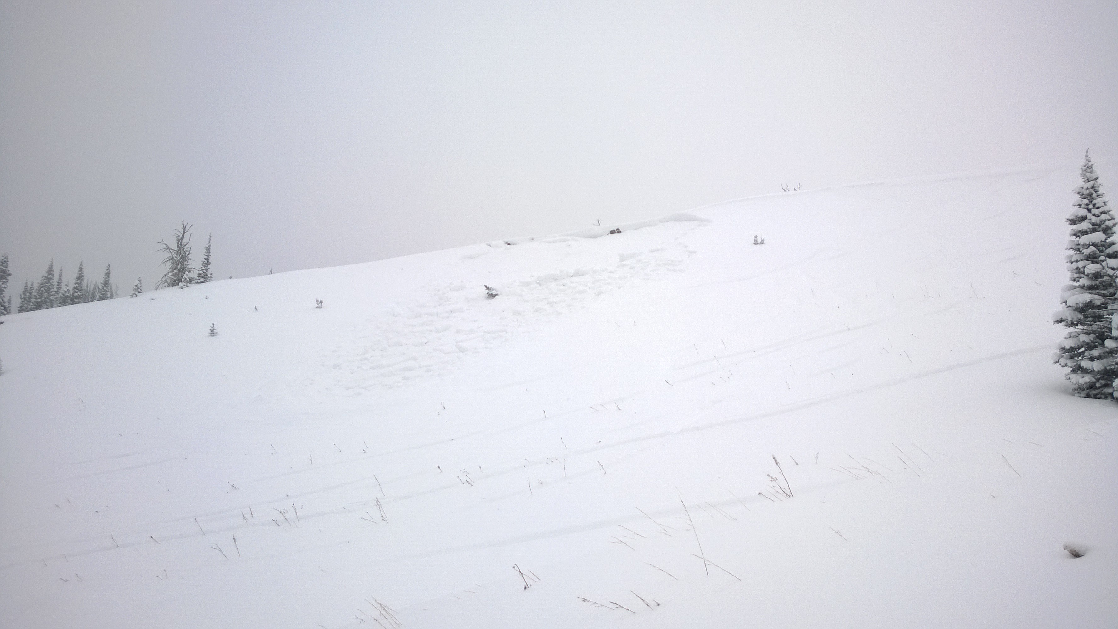Small avalanche near Lick Creek Small avalanche near Lick Creek