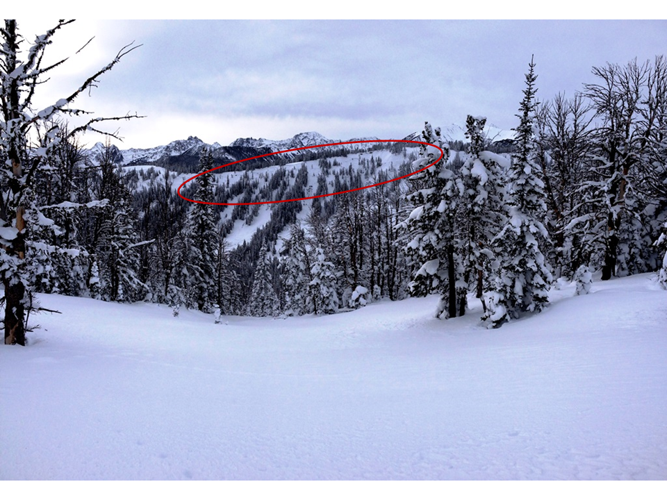 Lightening Creek Avalanches