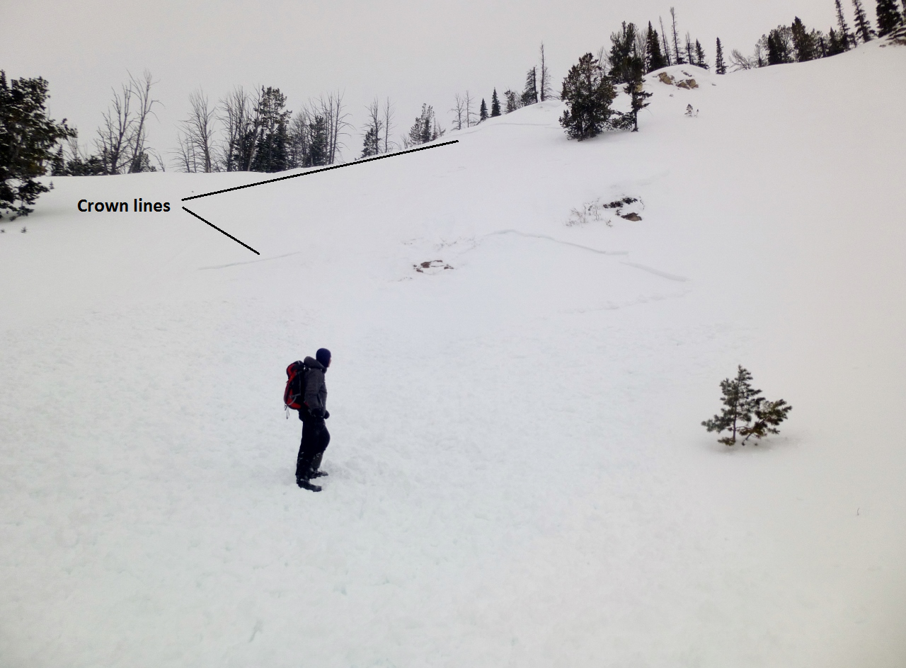 Lionhead Avalanche_thin Lionhead Avalanche_thin