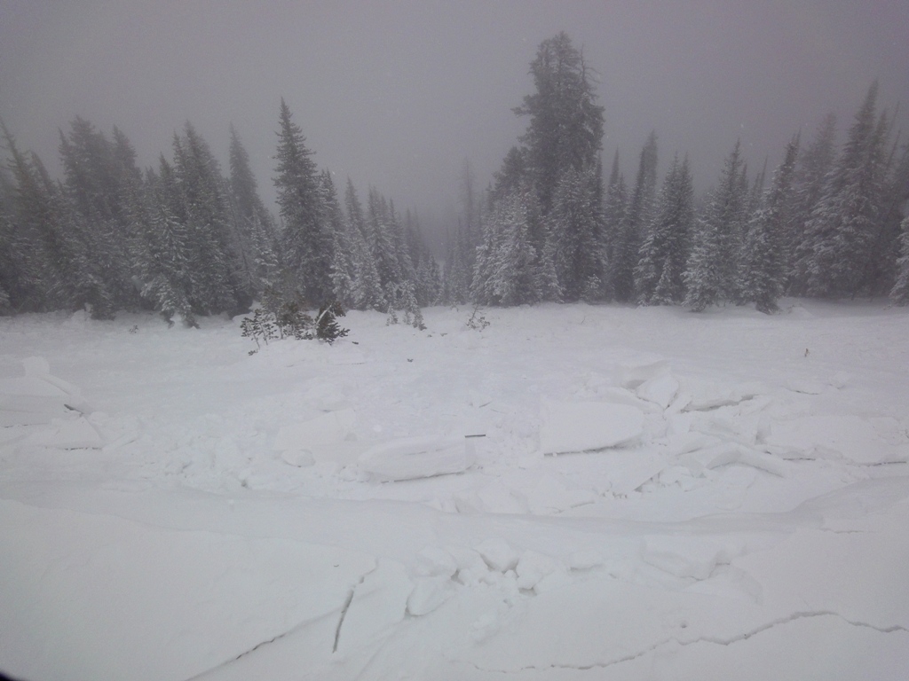 Lionhead Ridge Avalanche Lionhead Ridge Avalanche
