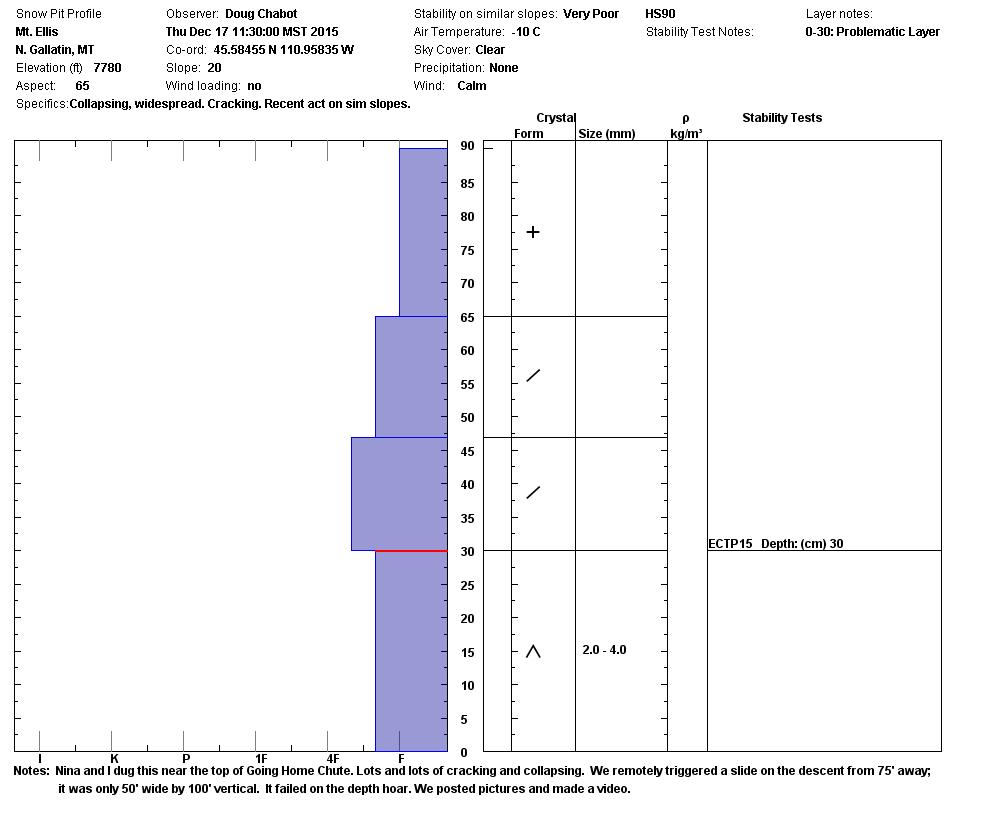 Mt. Ellis Snowpit Profile