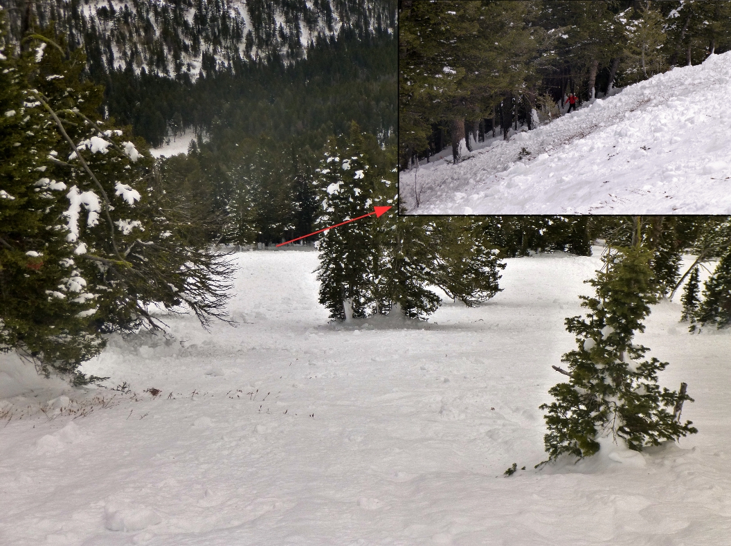Mt Ellis Avalanche run out zone Mt Ellis Avalanche run out zone