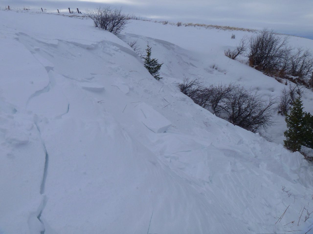 Dog triggered wind slab Dog triggered wind slab