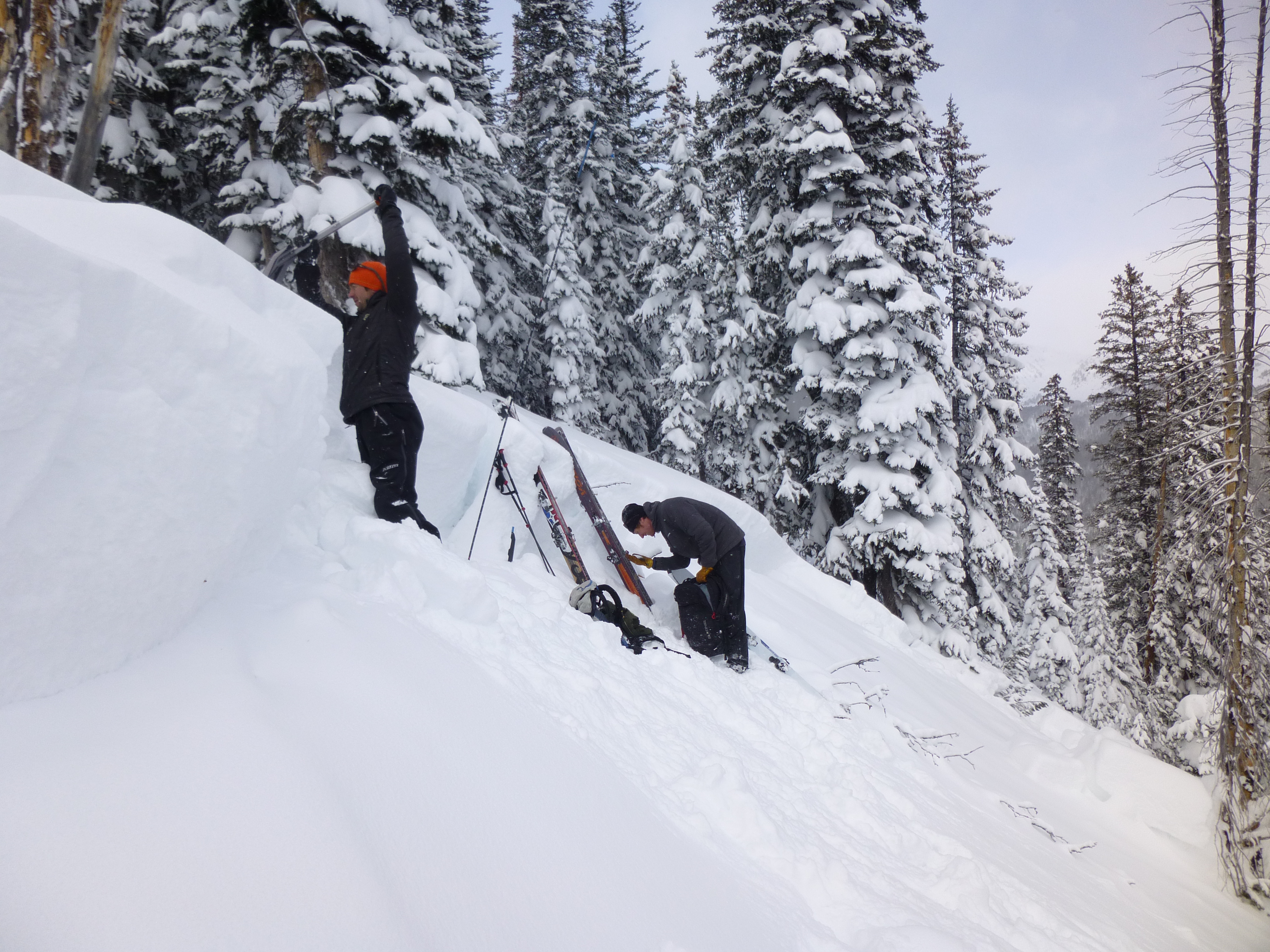 Henderson Bench_digging in crown