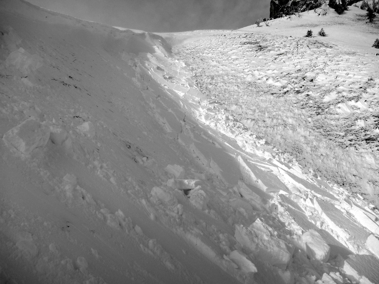 Wind Slab Avalanche - Ross Pass Wind Slab Avalanche - Ross Pass