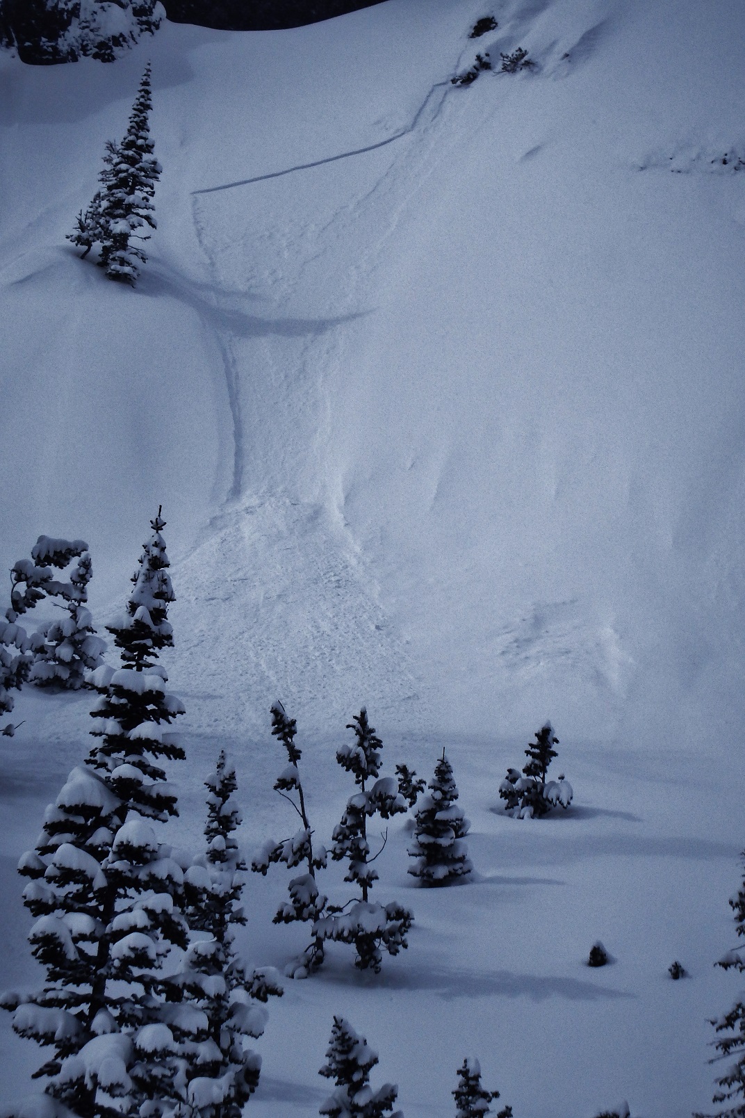 Soft slabs in new snow 2 Soft slabs in new snow 2