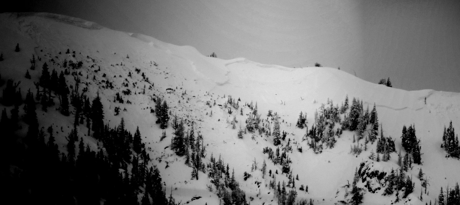 South of Saddle Peak Crown South of Saddle Peak Crown