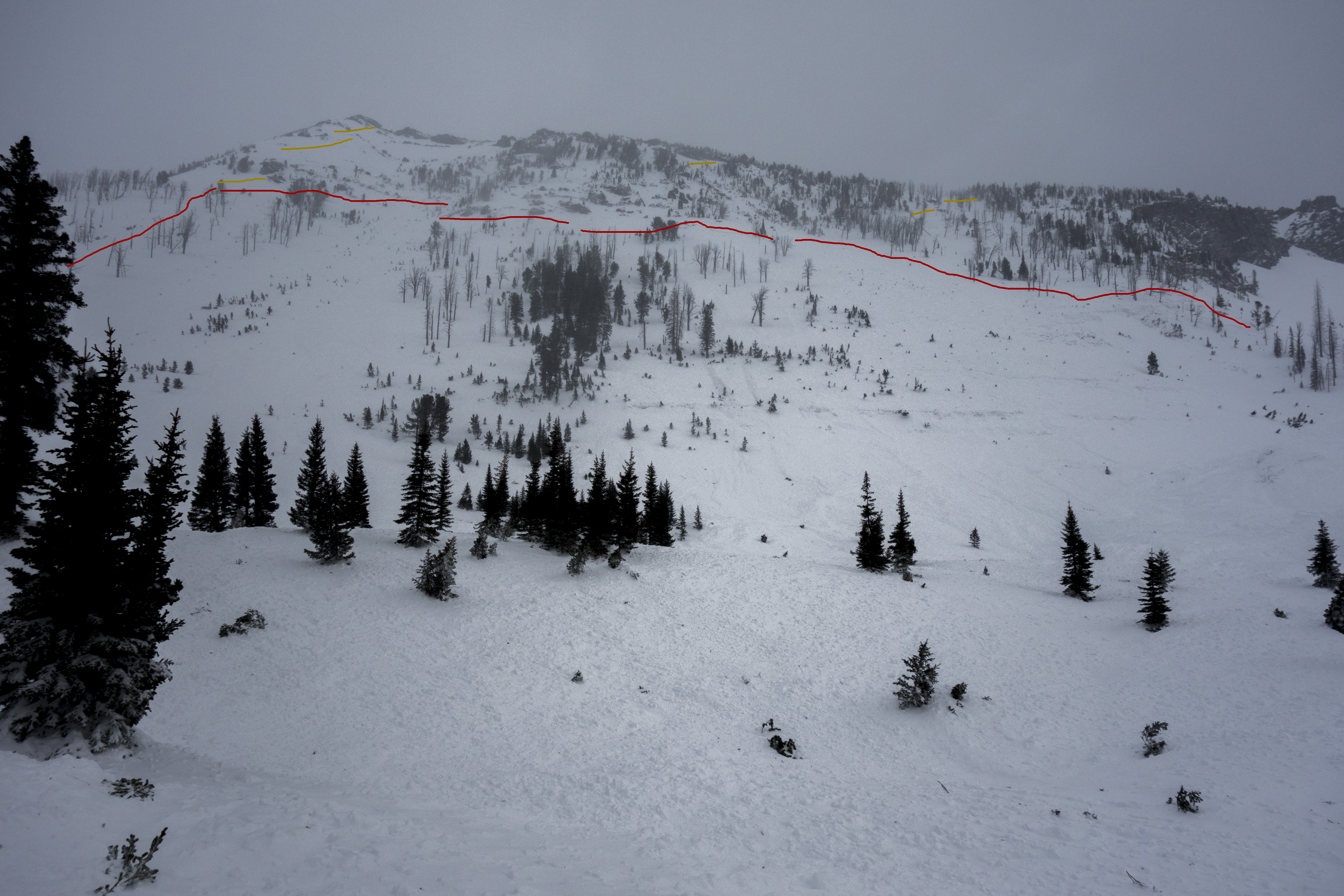 Natural avalanche in Sheep Creek near Cooke - 2 Natural avalanche in Sheep Creek near Cooke - 2