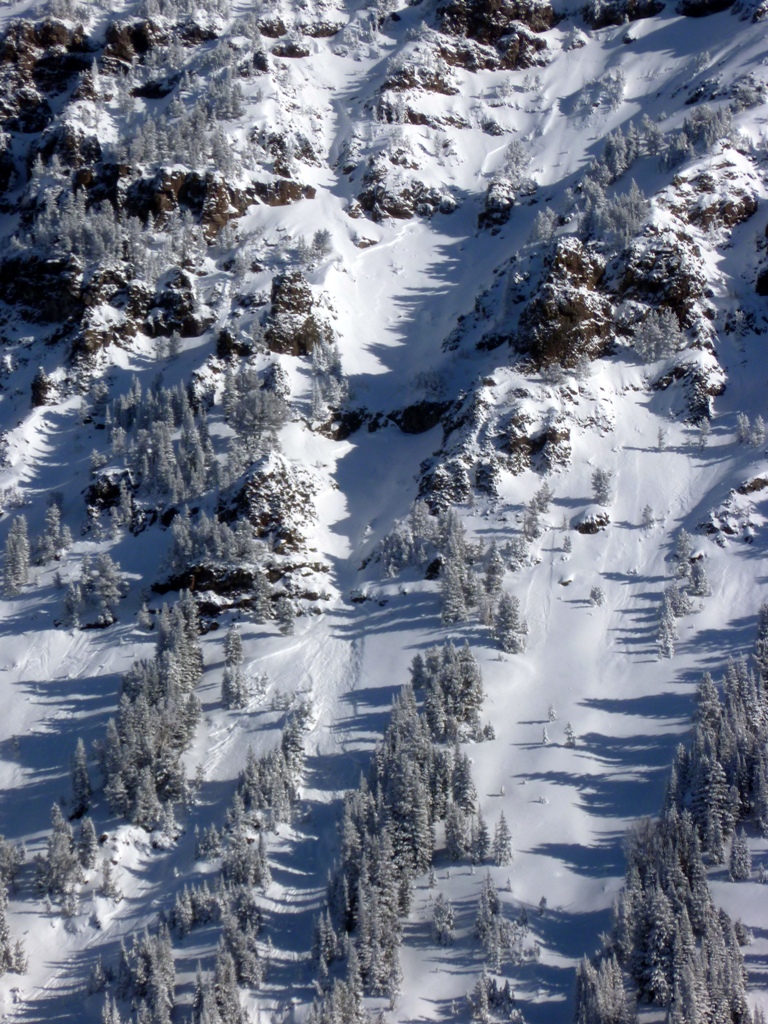 Small Natural Avalanche - Northern Gallatin Range Small Natural Avalanche - Northern Gallatin Range