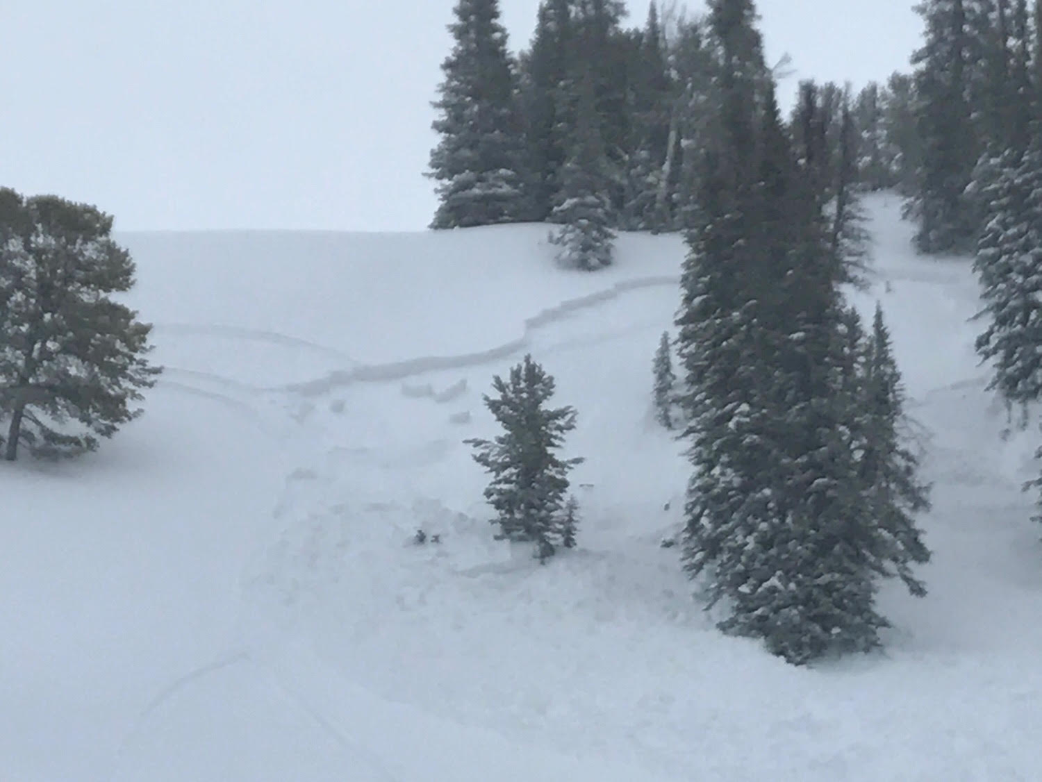Avalanche near Sunlight Basin Avalanche near Sunlight Basin