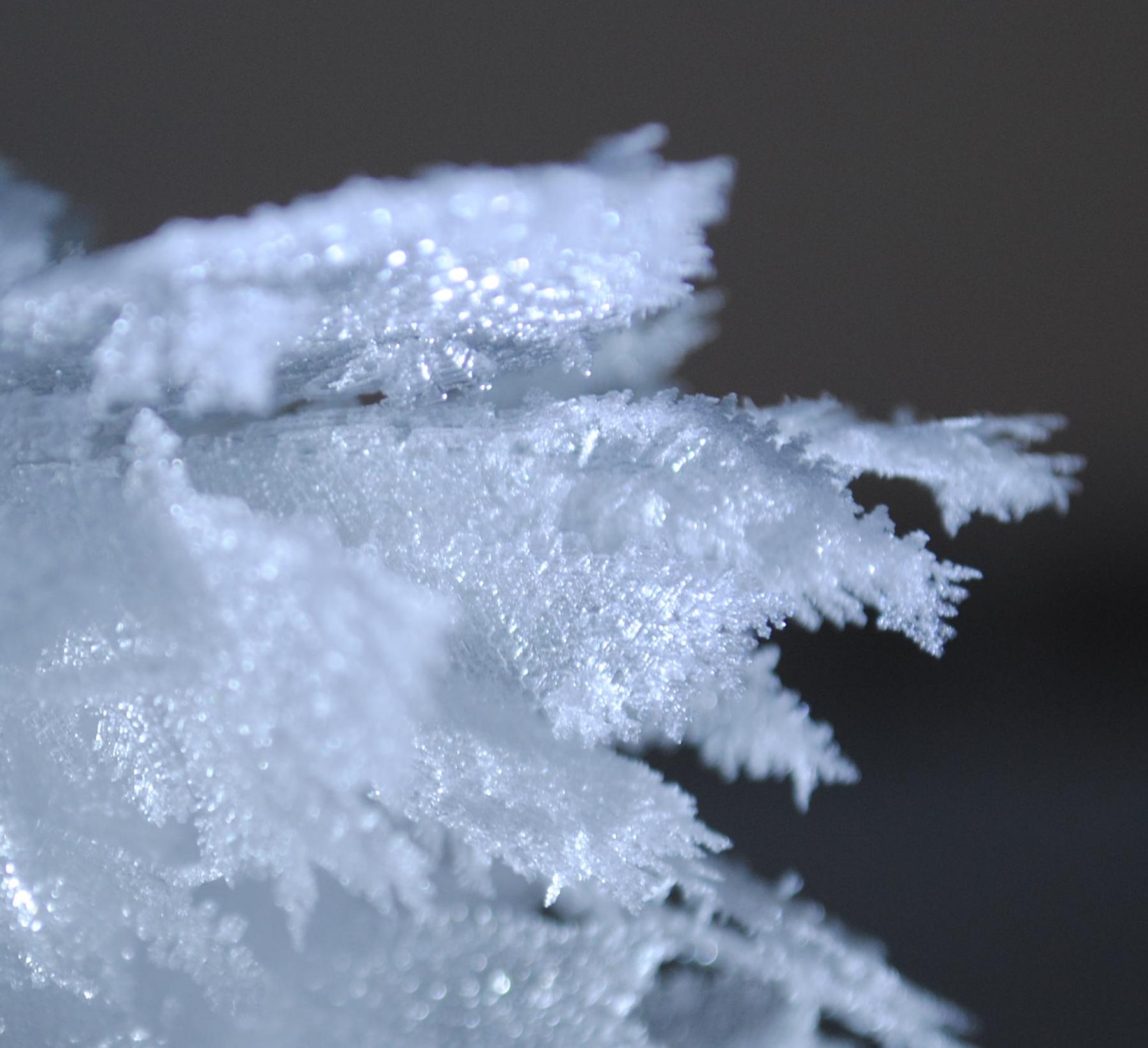 Surface Hoar Close-up Surface Hoar Close-up