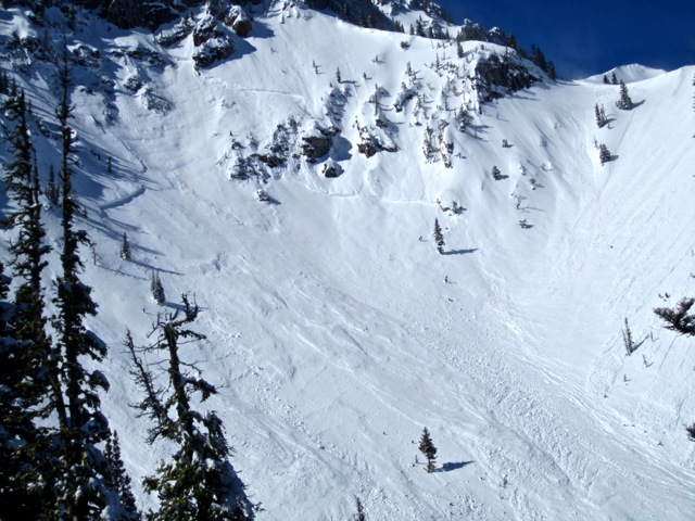 N. Bridger Avalanches_1 N. Bridger Avalanches_1