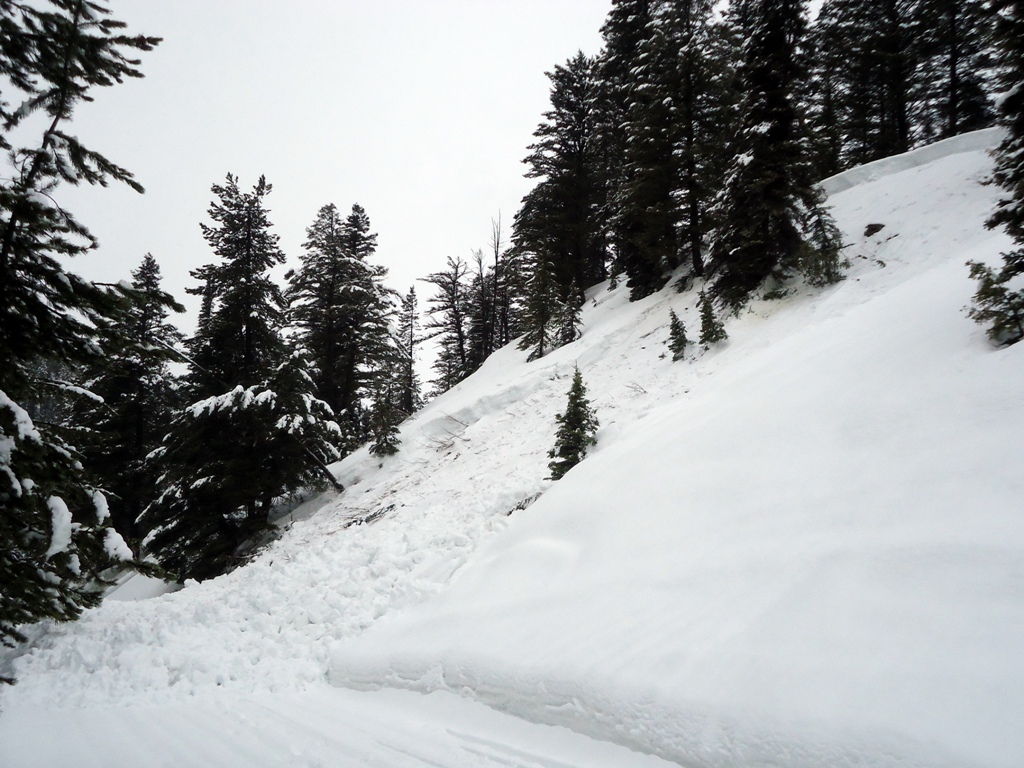 Avalanche - Two Top Avalanche - Two Top