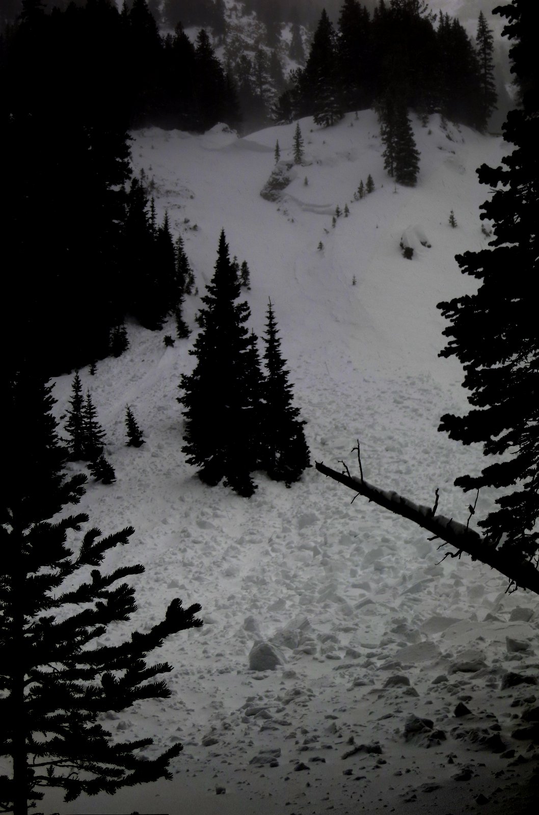 Blackmore Avalanche Blackmore Avalanche