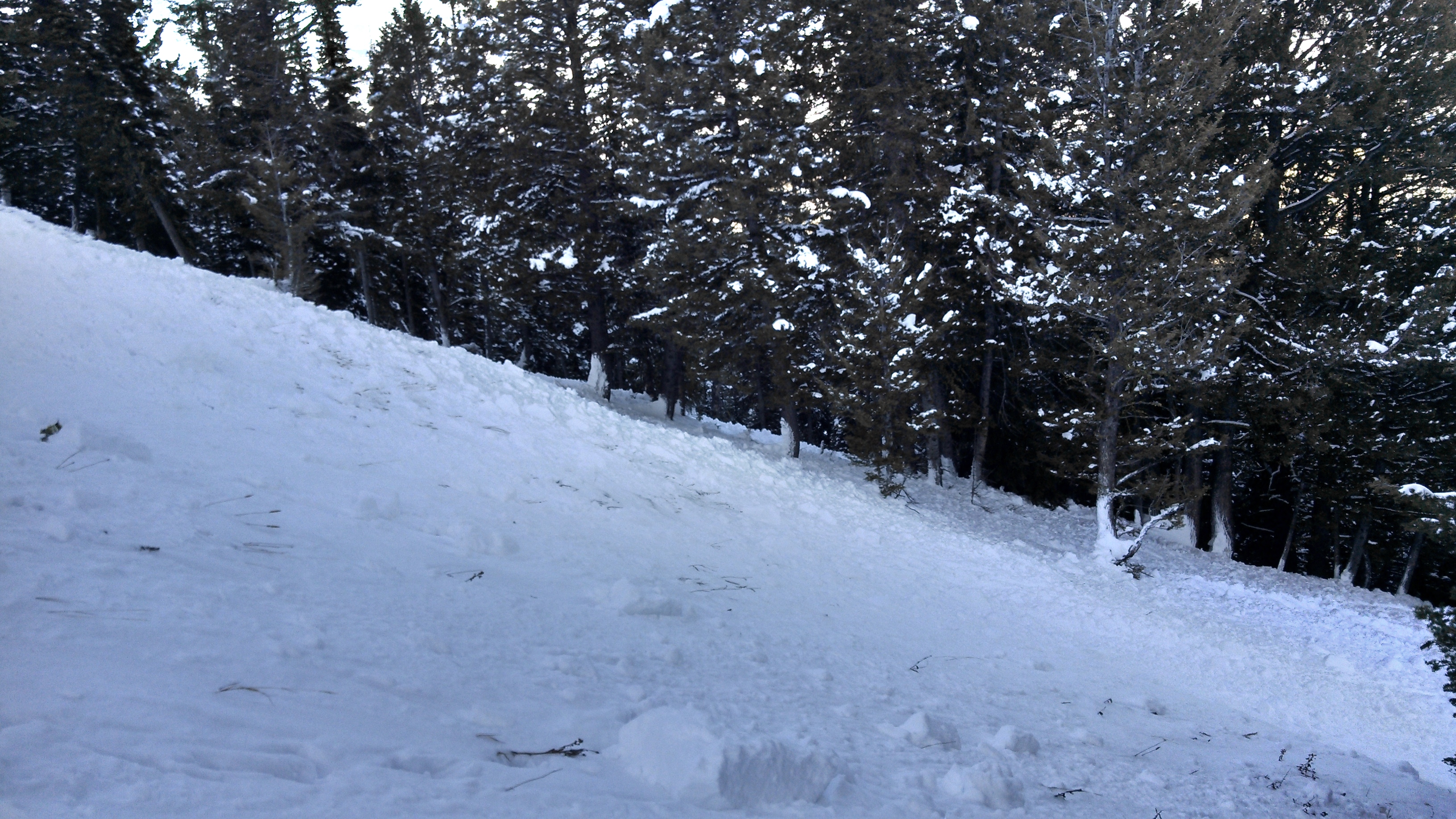 Mt Ellis avalanche flow depth Mt Ellis avalanche flow depth