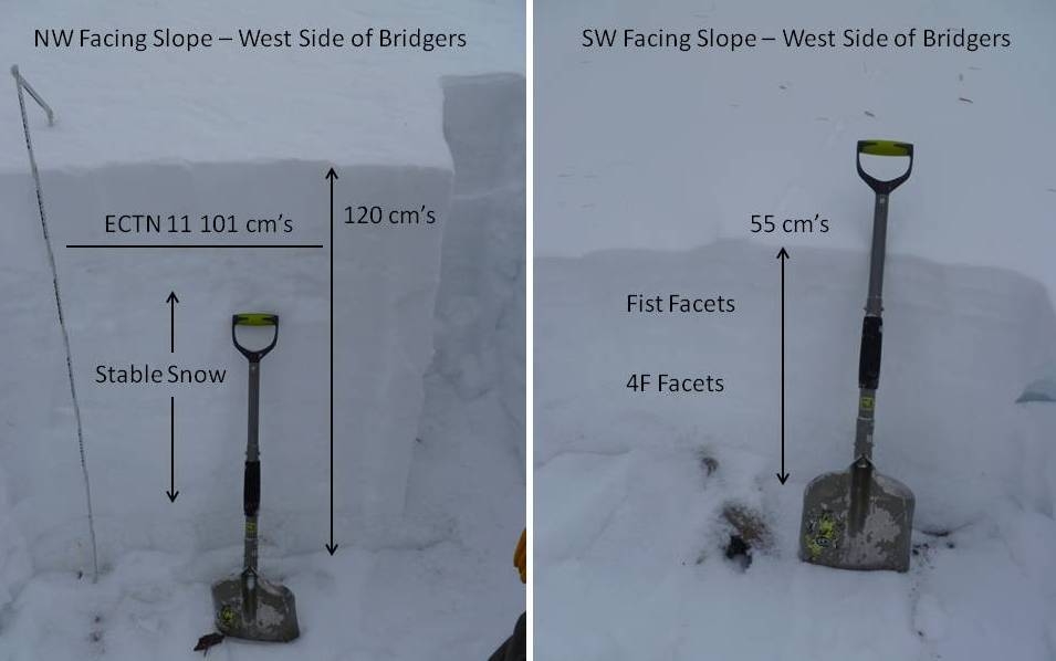 Spatial Variability - Bridger West Side Spatial Variability - Bridger West Side
