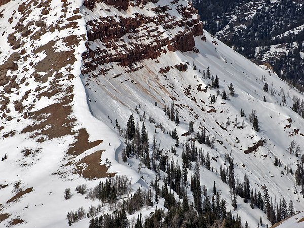 Wet slab avalanche near Sphinx Mountain Wet slab avalanche near Sphinx Mountain