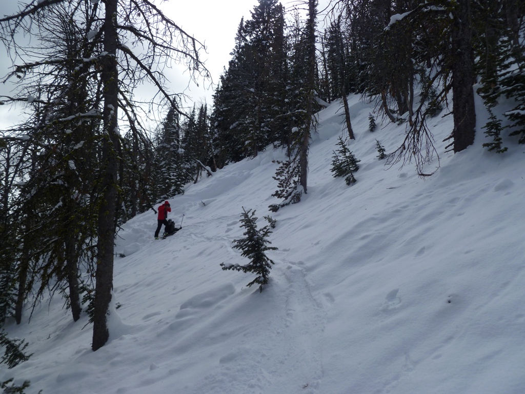 Mt Wheeler Avalanche Mt Wheeler Avalanche