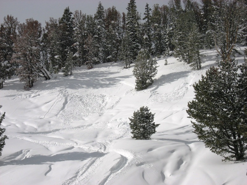 Two small slides in Buck Ridge Two small slides in Buck Ridge