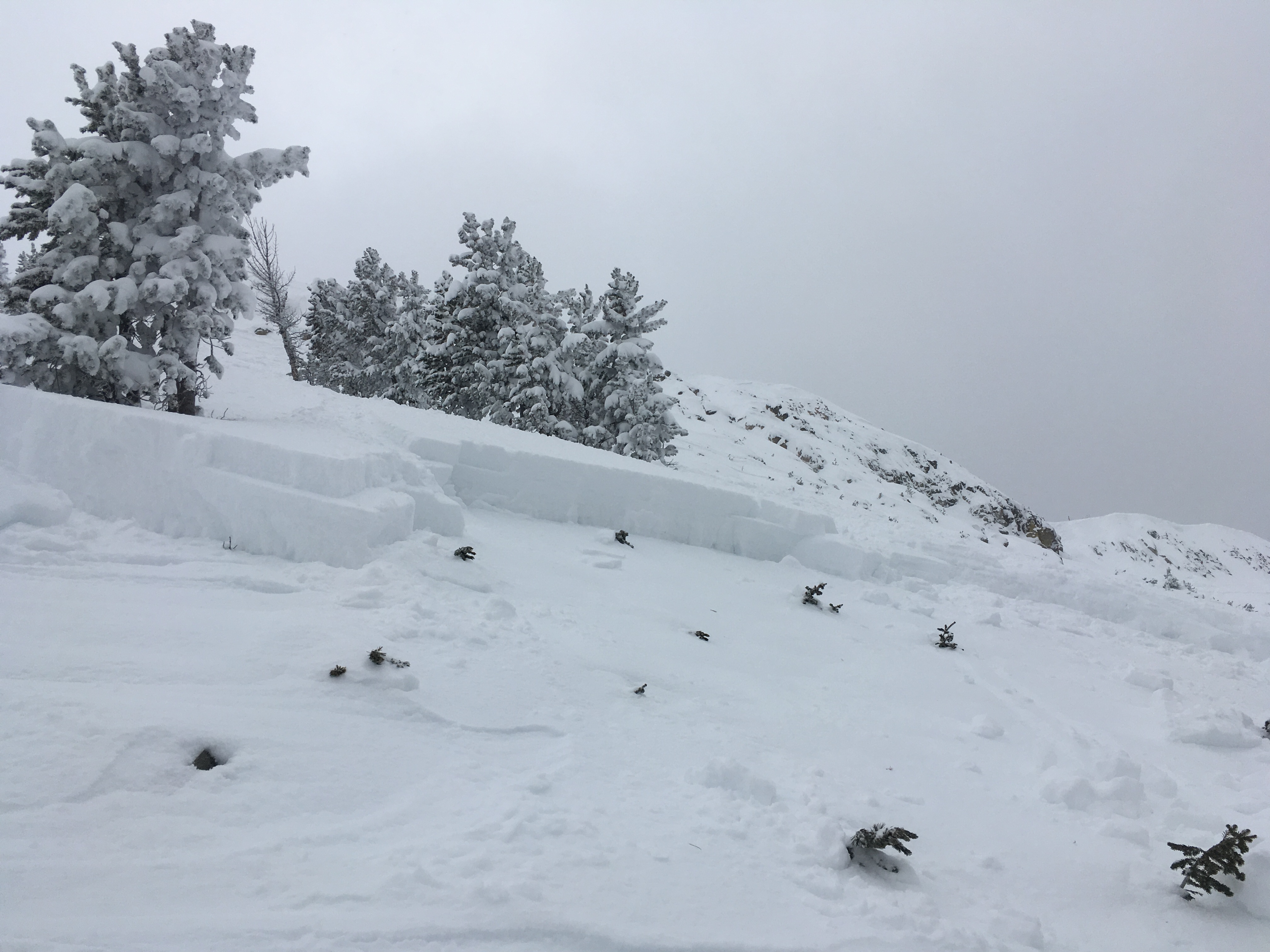 Human triggered avalanches continue Human triggered avalanches continue