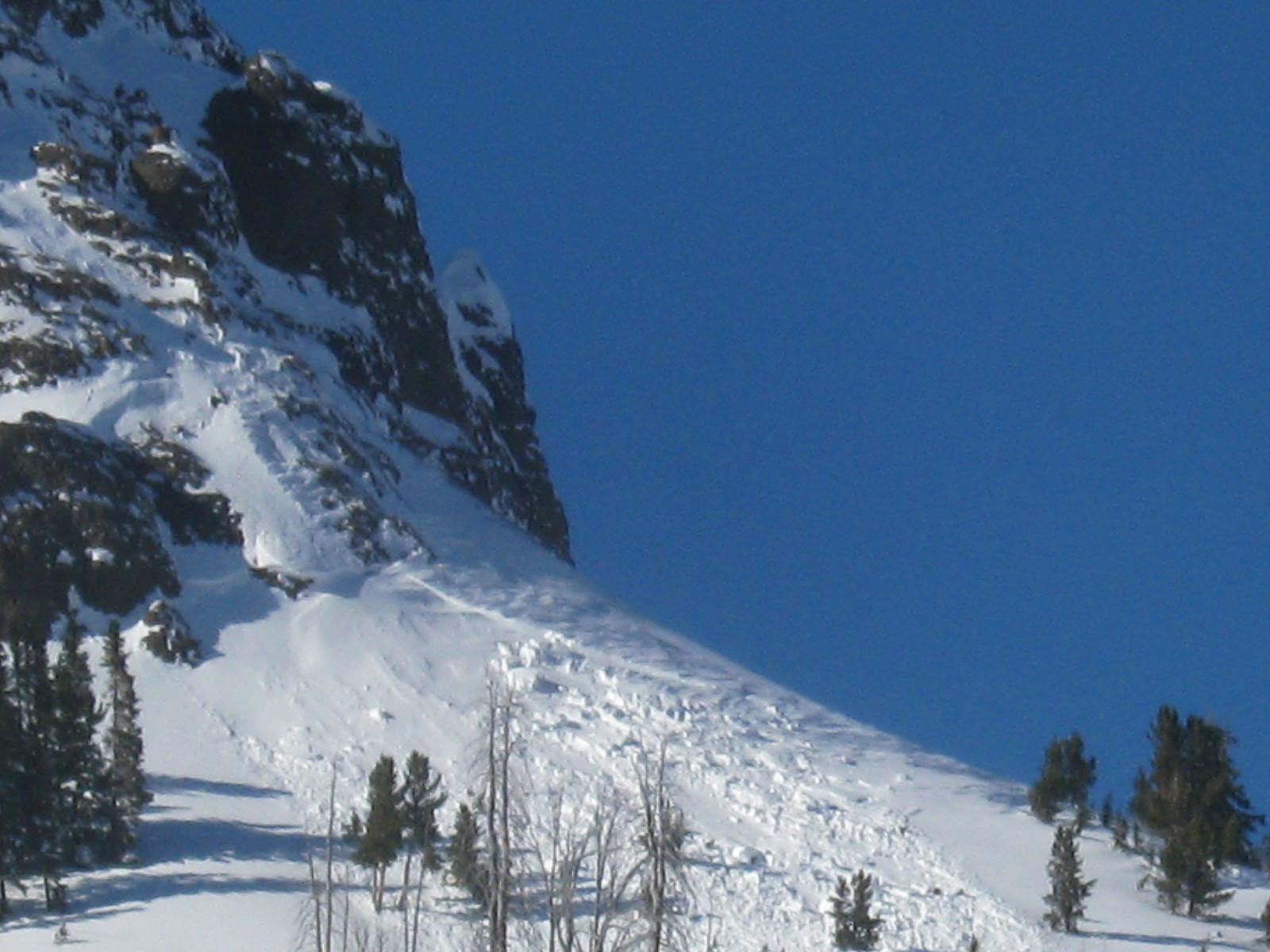 Natural Slide Mt Abundance - Cooke City Natural Slide Mt Abundance - Cooke City