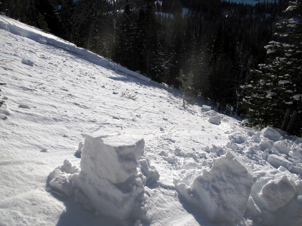 Beehive Avalanche Path Beehive Avalanche Path