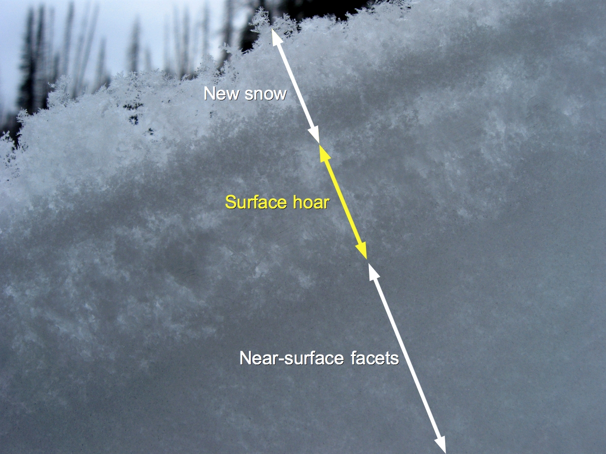 Buried surface hoar & other facets Buried surface hoar & other facets